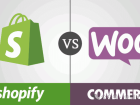 独立站电商平台选Shopify还是Woocommerce？